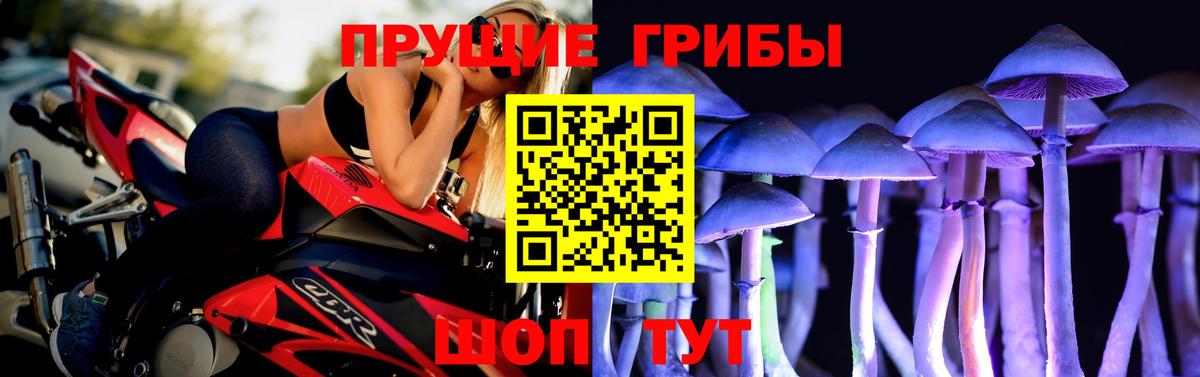 Великий Устюг  Галлюциногенные грибы Cubensis  Вход с VPN 
